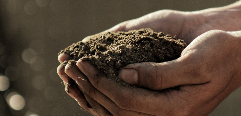 G8全自動石墨消解儀對土壤中Cd、Cr、Cu、Pb、Ni、Zn金屬消解方案